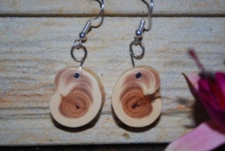 Ohrringe aus dem Holz der Eibe in kleinen Scheiben; Haken versilbert, nickelfrei (OSE12)
