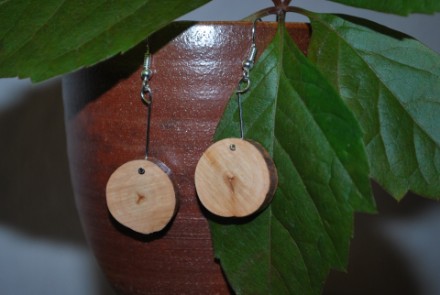 Ohrringe aus dem Holz der Erle in kleinen Scheiben; Haken versilbert, nickelfrei (OSEr1) 